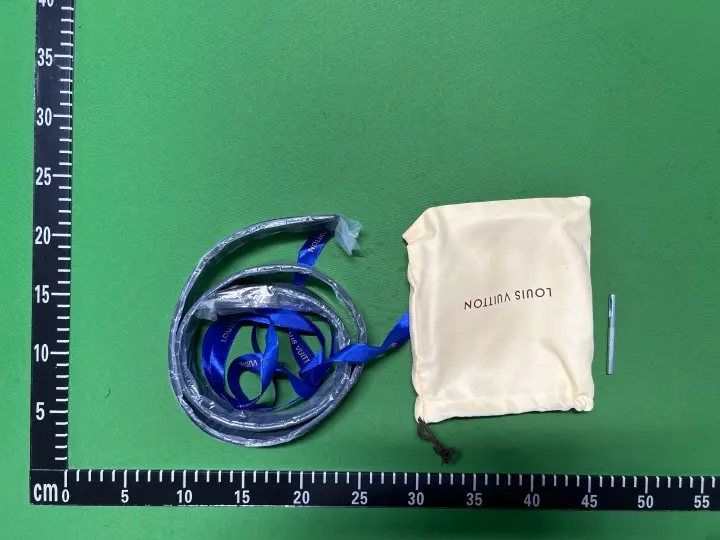 Budget LV Belt QC photo 15