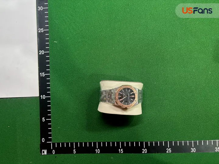 Audemars Piguet Silver Band QC photo 10