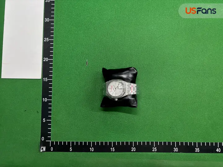 Audemars Piguet Silver Band QC photo 19