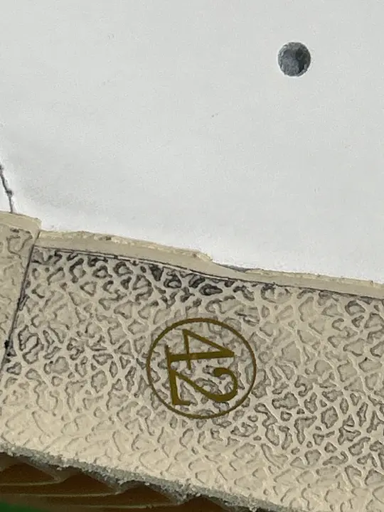 Golden Goose Trainers QC photo 8