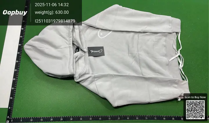 Carsicko Hoodie QC photo 10