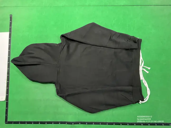 Carsicko Hoodie QC photo 2
