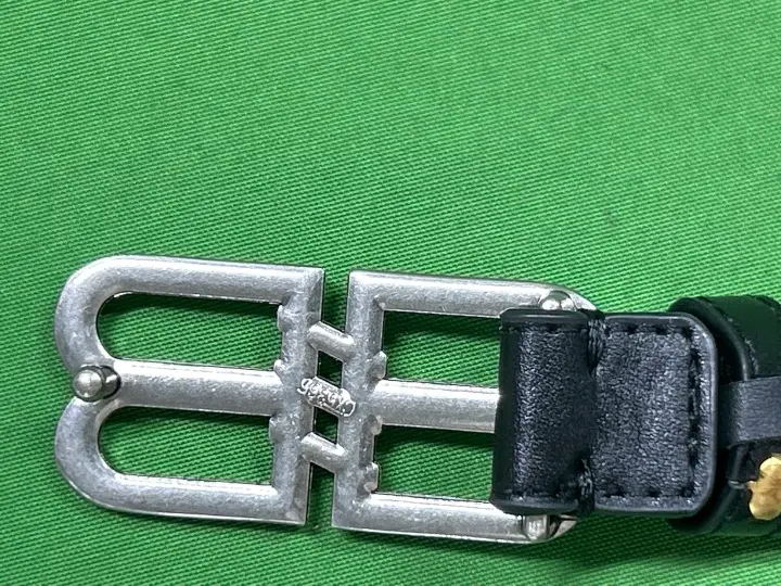 Balenciaga Belt QC photo 10