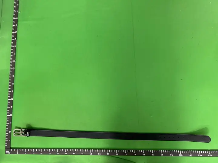 Balenciaga Belt QC photo 3