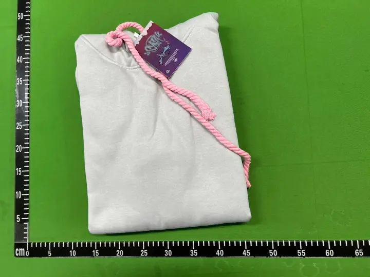 Syna World Hoodie QC photo 1