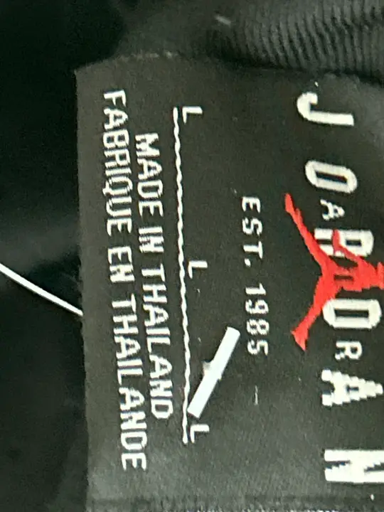 Jordan Shorts QC photo 18