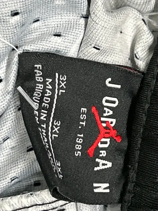 Jordan Shorts QC photo 3