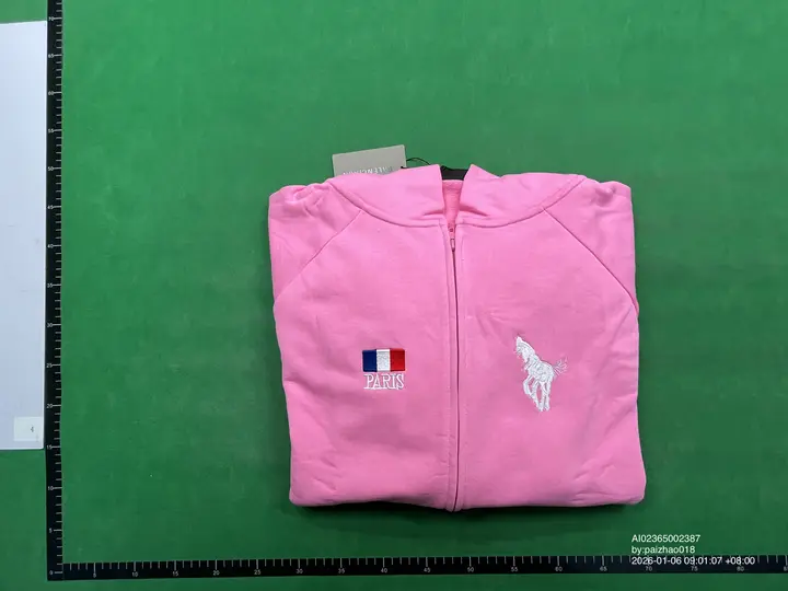 Balenciaga x Ralph Hoodie QC photo 5