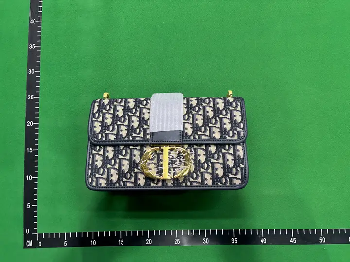 Dior 30 Montaigne Oblique QC photo 1