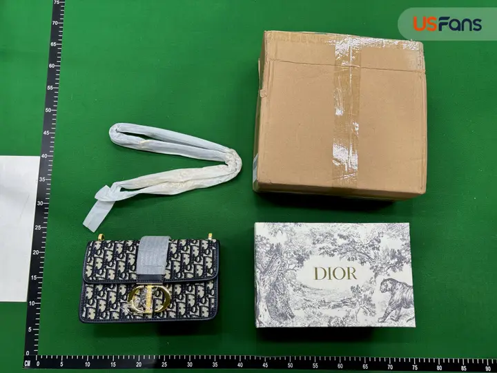 Dior 30 Montaigne Oblique QC photo 12