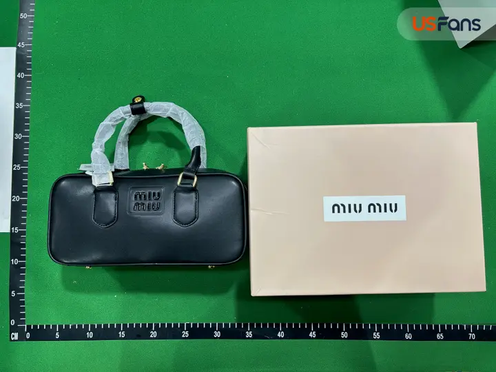 Miu Miu Bag QC photo 3