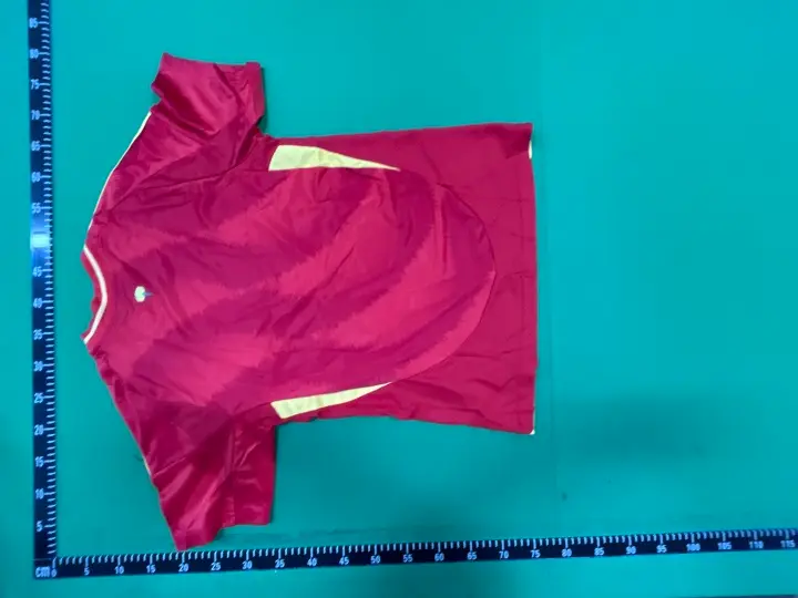 Poland Jersey 2024 (Player) QC photo 11