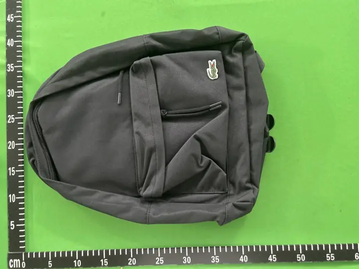 Lacoste Backpack QC photo 7