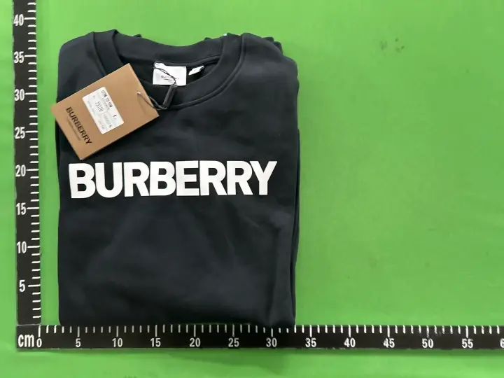 Burberry Hoodie QC photo 1