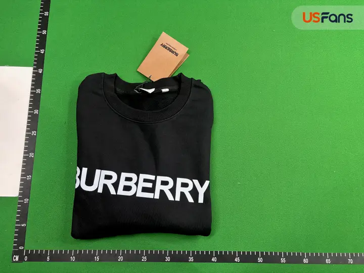 Burberry Hoodie QC photo 8