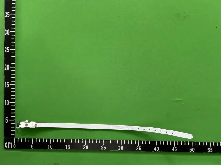 Vivienne Westwood Belt QC photo 2