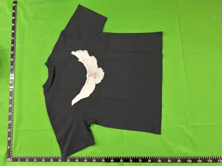 Best Budget Batch for Yeezy Gap T-Shirt QC photo 20