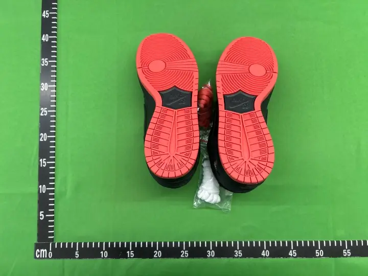 Dunk SB Pigeon Shoes QC photo 14