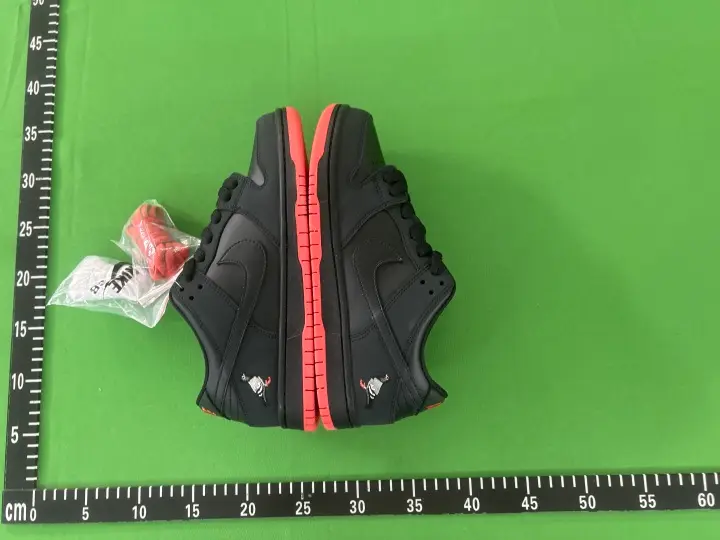 Dunk SB Pigeon Shoes QC photo 5