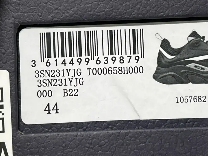 Good Batch for Dior B22 QC photo 1