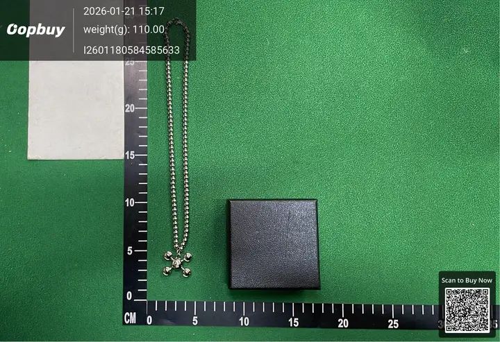 Frank Ocean Chain QC photo 3