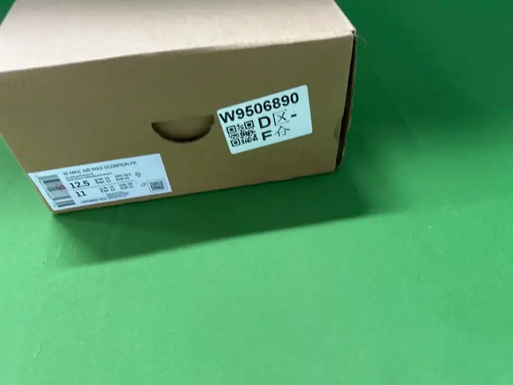 Nike Air Max Scorpion FK QC photo 1