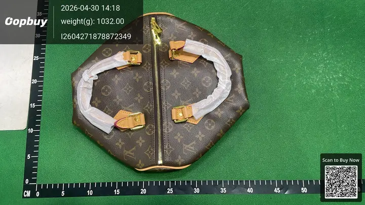 LV Speedy Traveling Bag QC photo 3