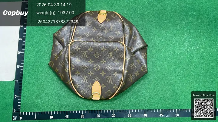 LV Speedy Traveling Bag QC photo 4