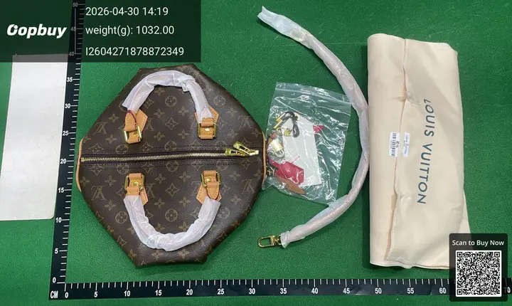LV Speedy Traveling Bag QC photo 5