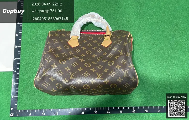 LV Speedy Traveling Bag QC photo 6