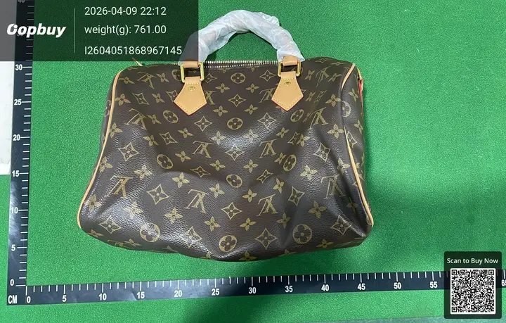 LV Speedy Traveling Bag QC photo 7