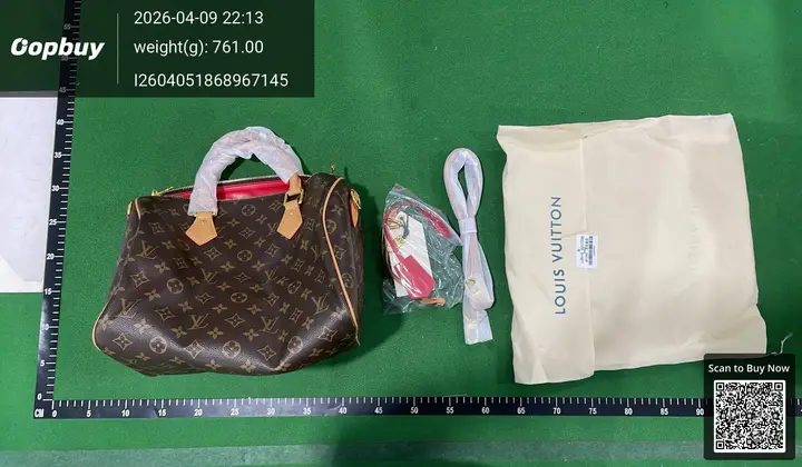 LV Speedy Traveling Bag QC photo 8