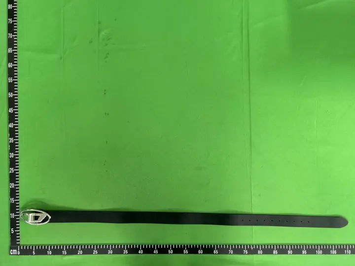 Diesel Belt QC photo 2