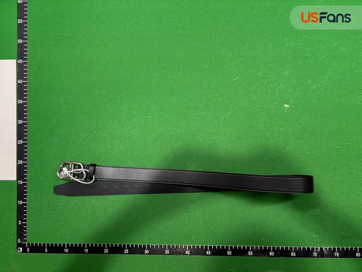 Balenciaga Belt QC photo 13