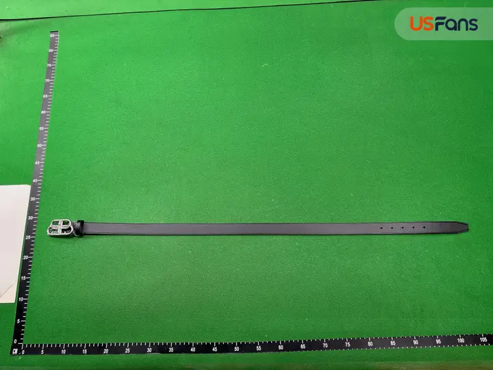 Balenciaga Belt QC photo 15