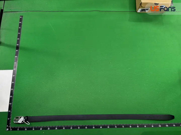 Balenciaga Belt QC photo 17