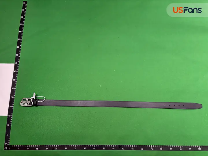 Balenciaga Belt QC photo 19