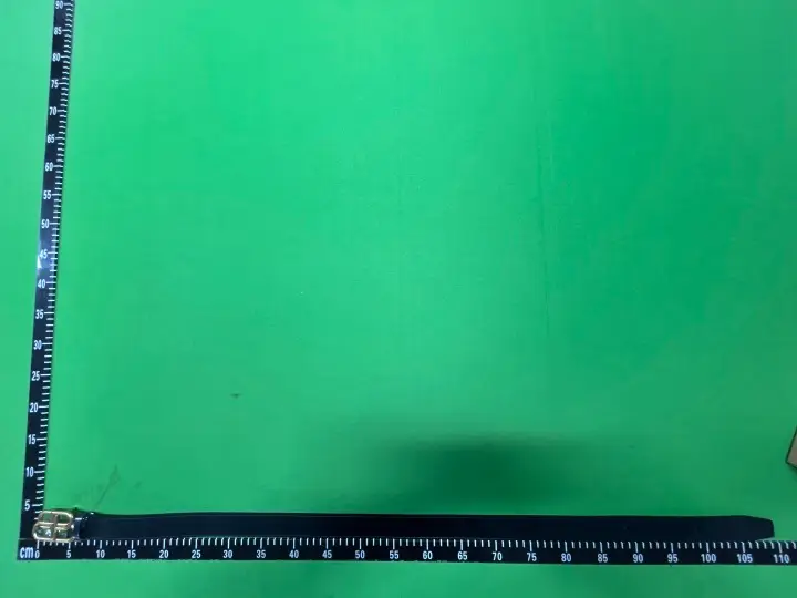 Balenciaga Belt QC photo 2