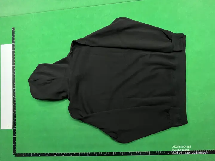 Celine Hoodie QC photo 5