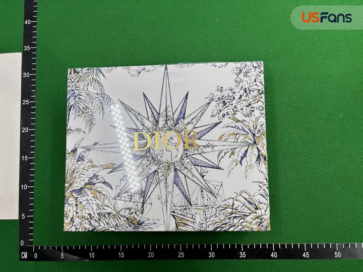 DIOR Saddle QC photo 1