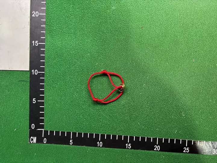 CARTIER BRACLET QC photo 11