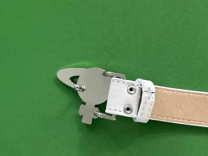 Vivienne Westwood Pink Belt QC photo 11