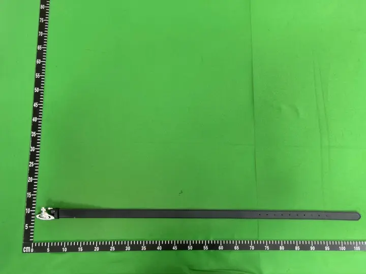 Vivienne Westwood Pink Belt QC photo 14