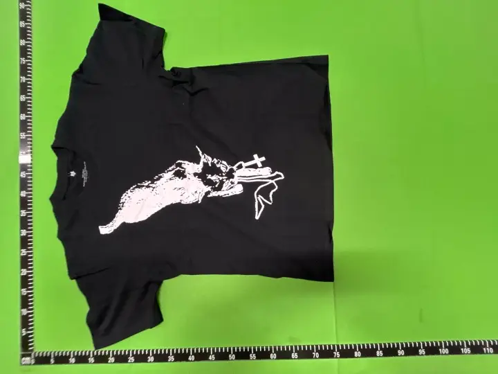 Ken Carson x Destroy Lonely Tour Merch QC photo 11
