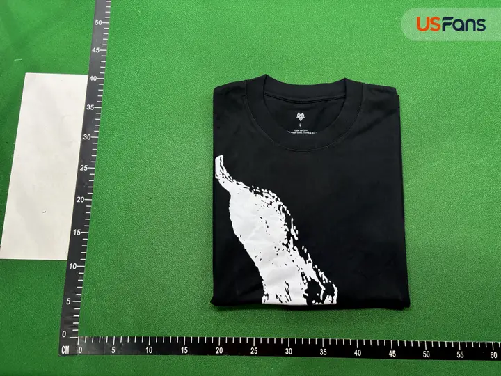 Ken Carson x Destroy Lonely Tour Merch QC photo 19