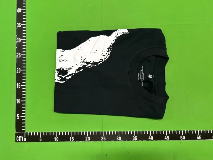 Ken Carson x Destroy Lonely Tour Merch QC photo 9