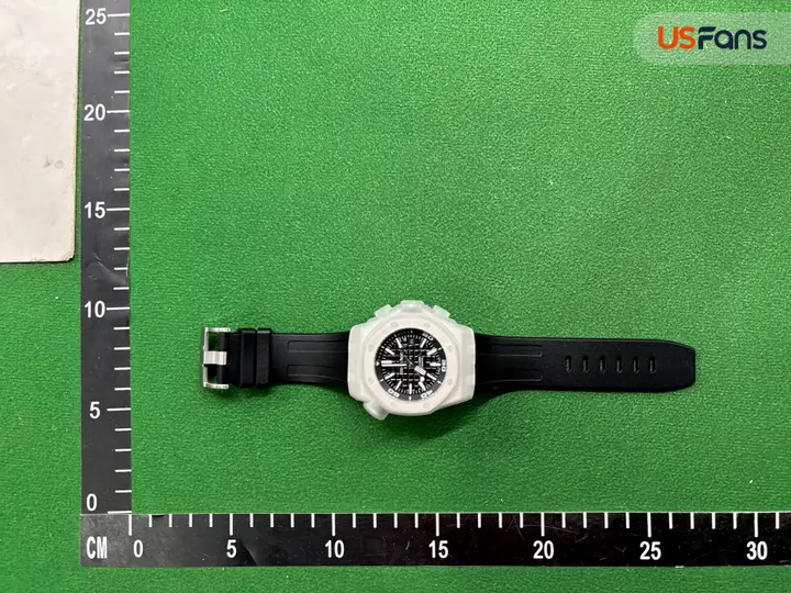 Audemars Piguet Royal Oak Offshore Diver QC photo 10