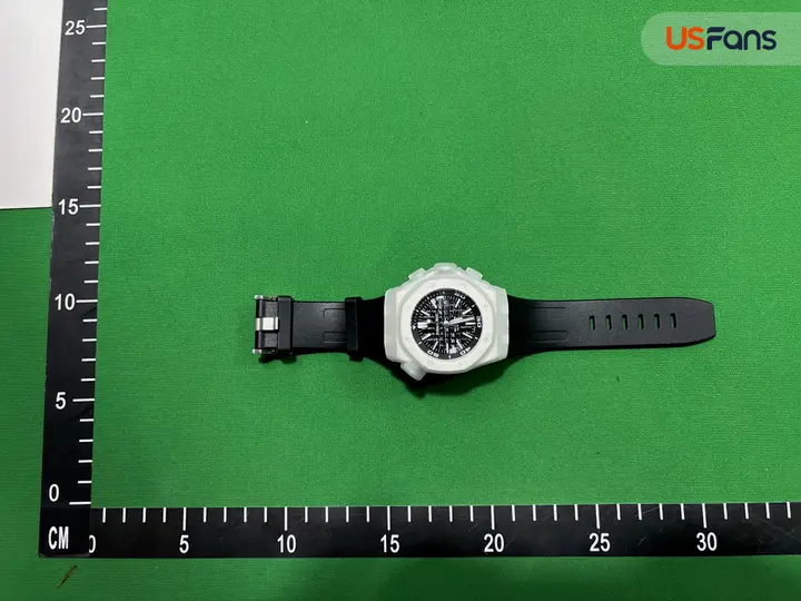 Audemars Piguet Royal Oak Offshore Diver QC photo 13