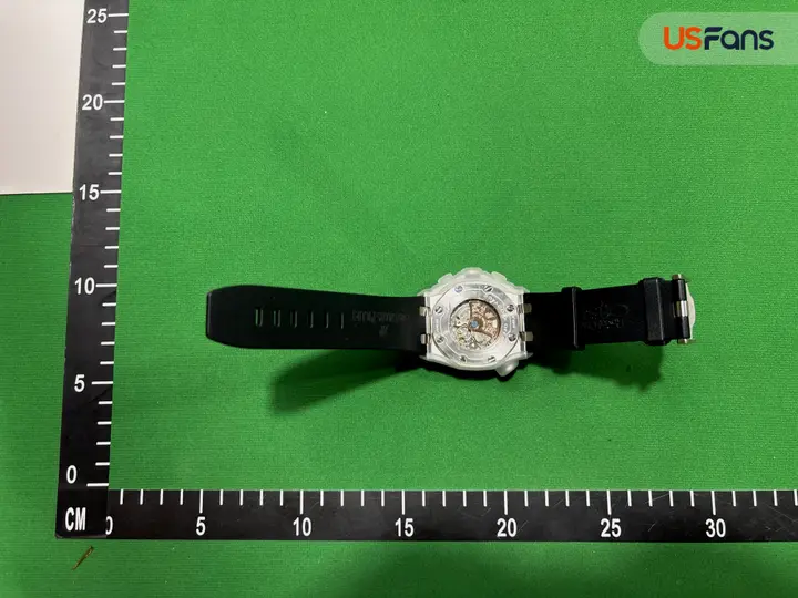Audemars Piguet Royal Oak Offshore Diver QC photo 14