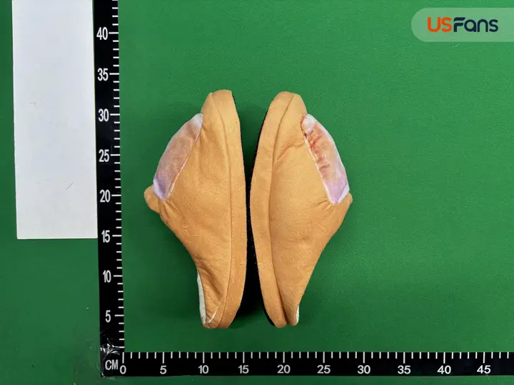 Feet Slides QC photo 18
